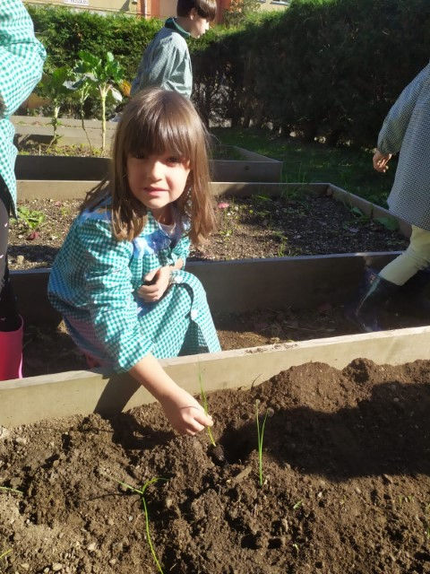 IMG-20201030-WA0107 (Pequeño)