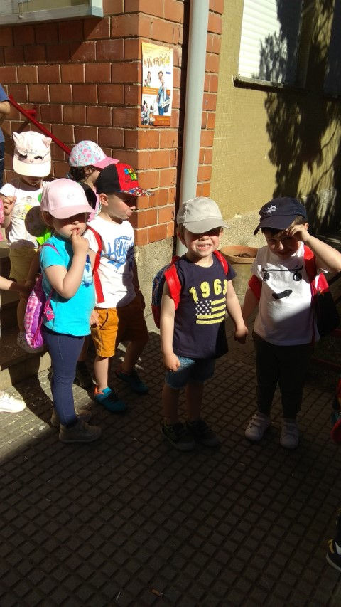 IMG_20190531_101003 (Pequeño)