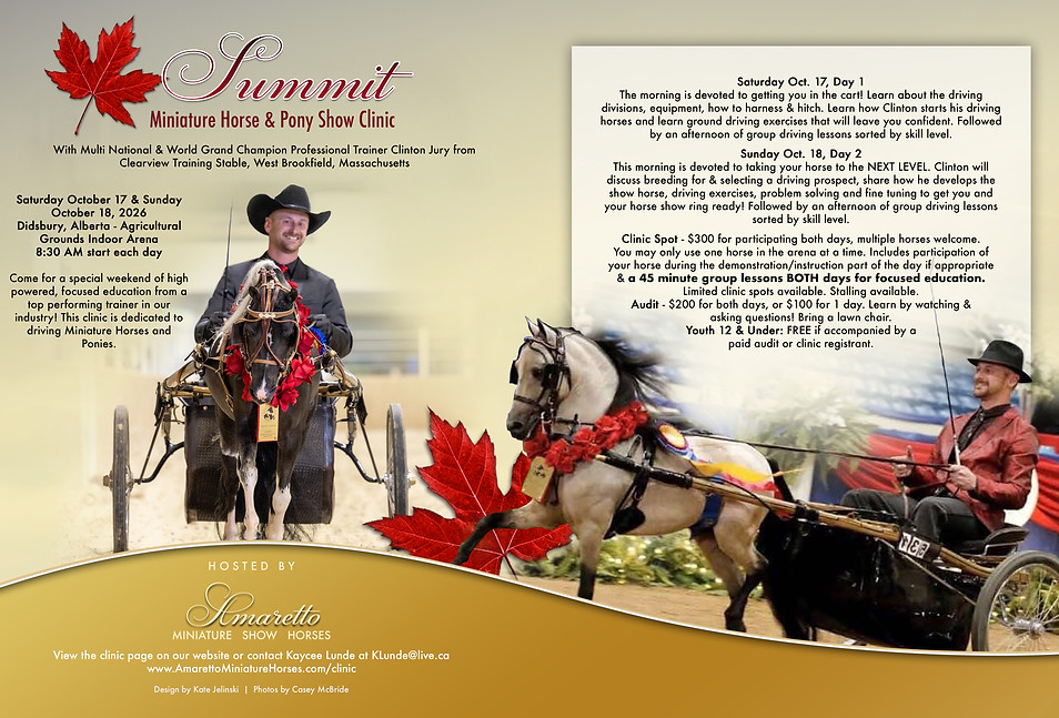 SUMMIT 12026 copy.jpg