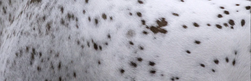 Screenshot 2024-12-26 at 6.30.19 PM.png