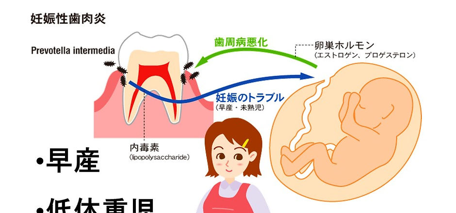 Slide18.JPG