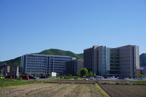 DSC08774 (1).jpg