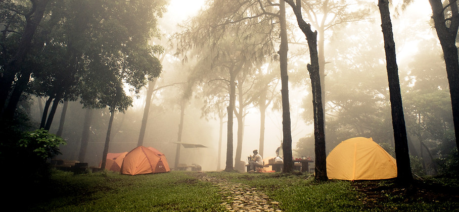 Forest camping at Little Massingham ABTC