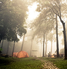 Foggy Campingplatz
