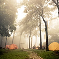 Camping en forĂȘt