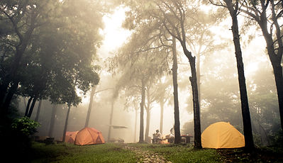 Foggy Campsite
