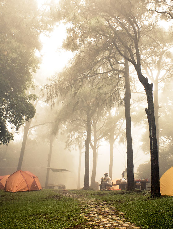 Foggy Campsite