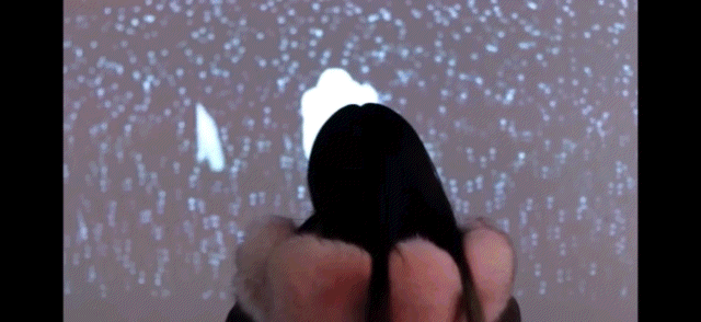1_0_GIF_1.GIF