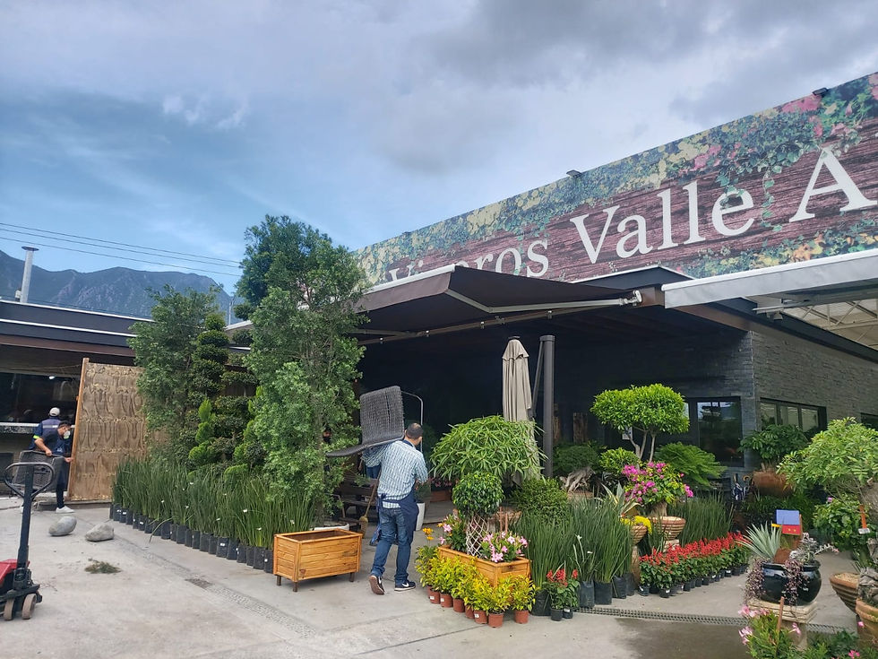 PHOTO-2021-07-19-12-08-34