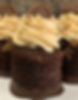 Peanut Butter Chocolate