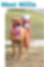 Sponsoring Millie SPCA