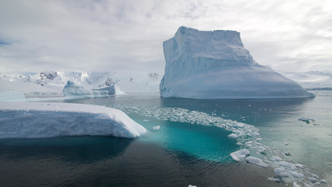 Iceberg Oasis