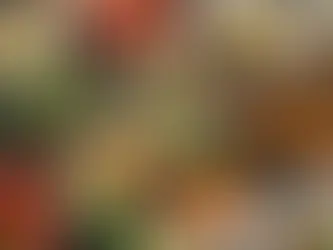 Ten Unique Ways to Ring in the New Year with Fun and Health in Mind