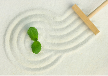 Mindfulness.png