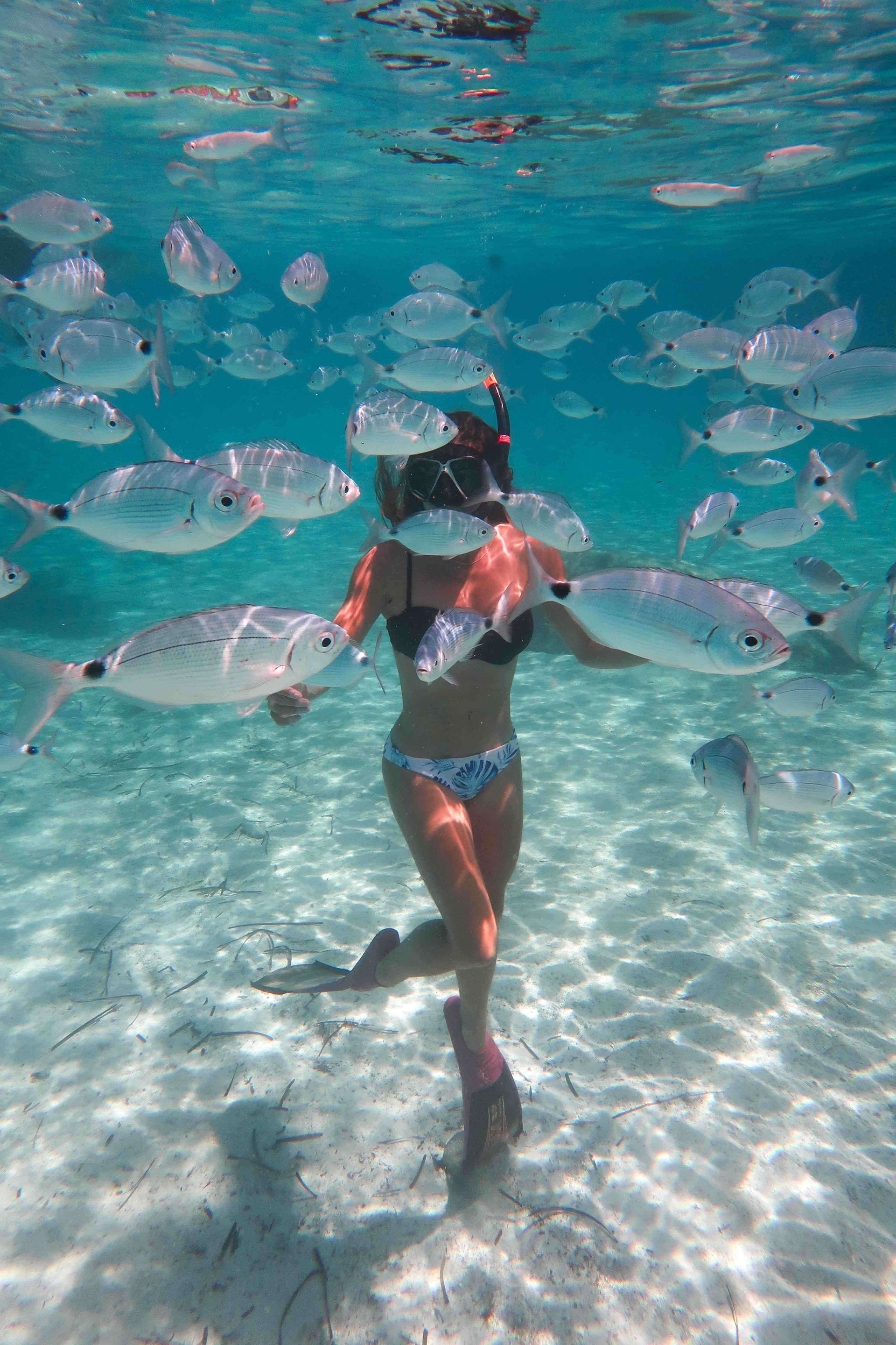 Snorkeling-oblades