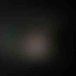 A spread from the album featuring one of the couples wedding photos.