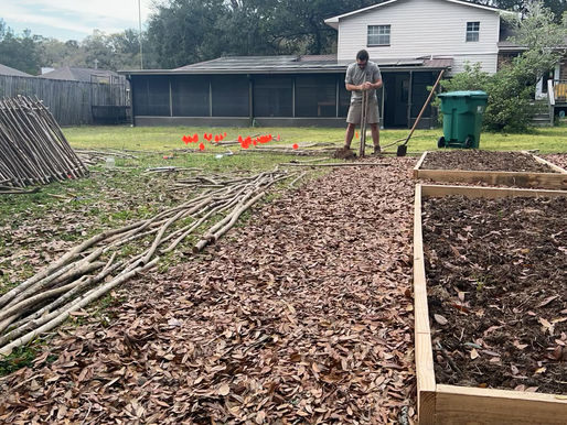Embracing Local Resources: Building Your Homestead with Nature's Bounty in the 850