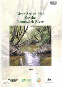 River action plan.JPG