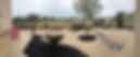 palm beacch.jpg