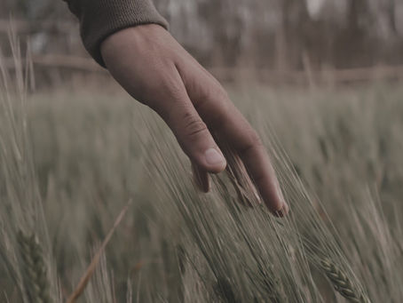 Gentle and Lowly