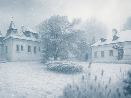 Mimoriadna výstraha: Varovanie pred snehovou búrkou v Raslaviciach