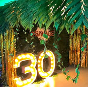 IMG_E1177 editado editado editado.jpg