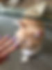AEAF7B4D-5C26-43B7-94B6-E35DE53E450B_1_105_c.jpeg