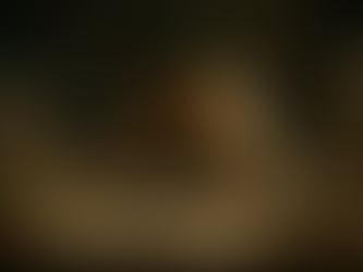 A Tale of Two Desks: Let APC Business & Tax LLC Transform Your Workload