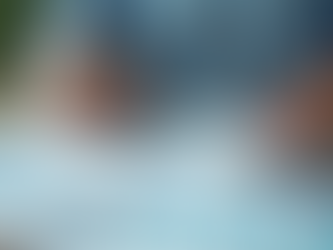 Bilingual Bookkeeping Services for Diverse Business Needs