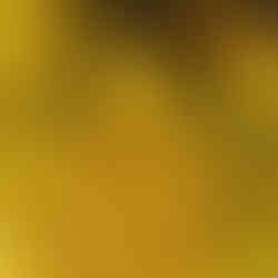 Bekalan gula melaka borong untuk bisnes F&B dan pengusaha kuih tradisional.