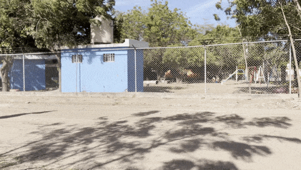 chicotero.gif