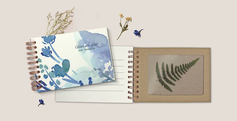 front cover and specimen page.jpg