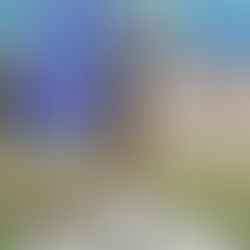 Weekly Update - 17th May