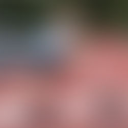 Weekly Update - 13th May 2026