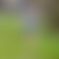 Weekly Update - 19th Nov. 2025