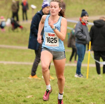 Weekly Update - 1st Feb. 2023