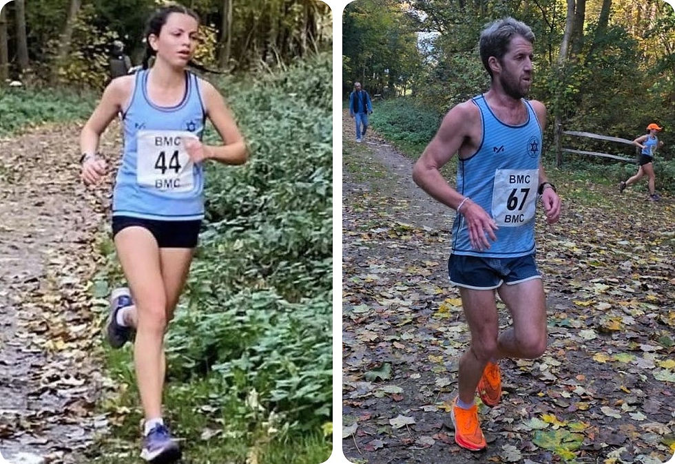 Weekly Update - 5th Nov. 2025