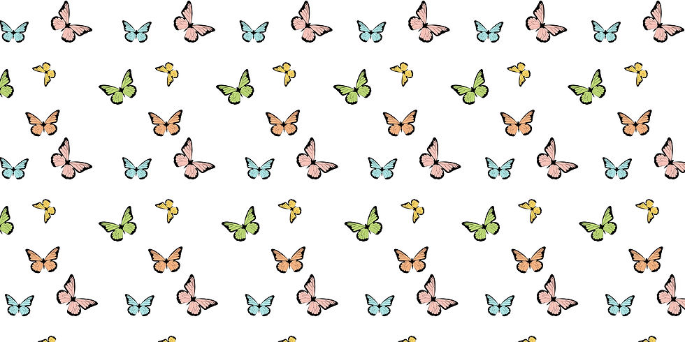 butterflylaneboutique