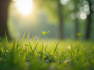 Unlocking the Hidden Patterns of Attachment: Navigating Relationship Difficulties for Better Mental Health