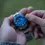 ภาพขนาดย่อ: Boldr - Blastoise - the Pokemon Collection