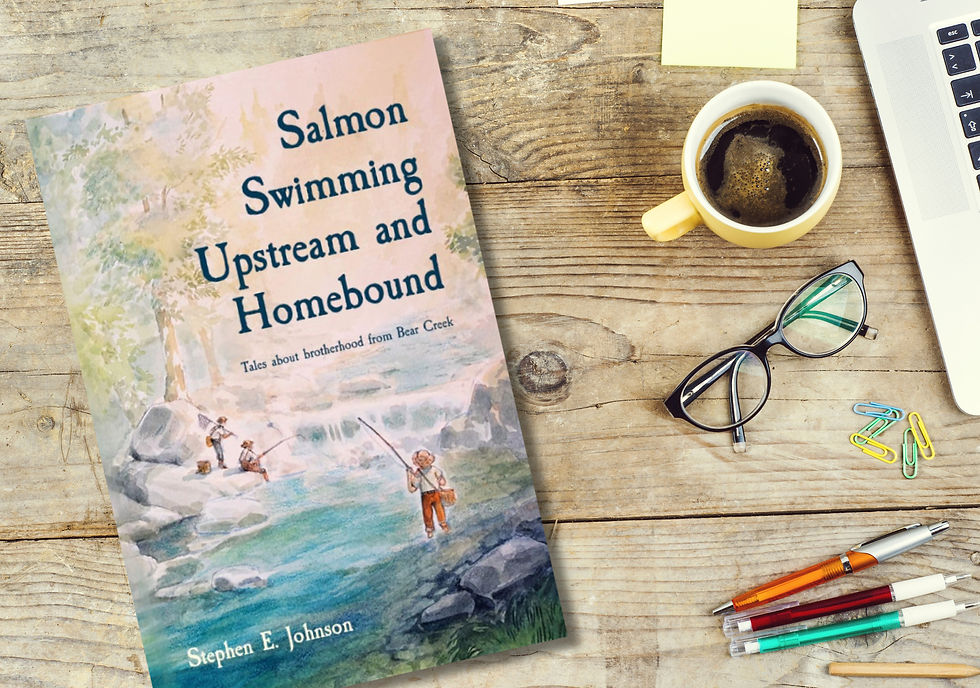 Meet the Author: Stephen Johnson