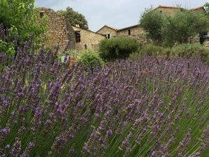 06 photo book yoga retreat.jpg