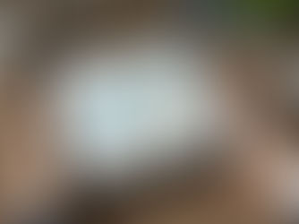 Mobile app interface showing big data and e-commerce features, highlighting e-commerce data collection for customer management