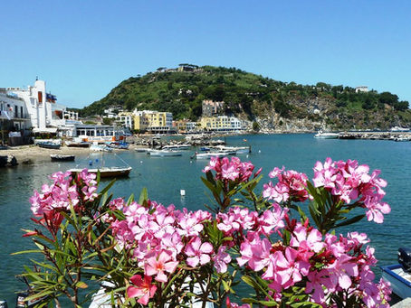 Lacco Ameno Ischia: il borgo del Fungo tra mare, fiori e relax | Hotel Ischia Vista Mare