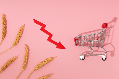Entendendo a elasticidade dos preços