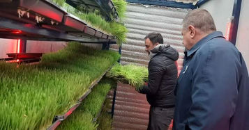 Forrajetecnol - Módulos para generar forraje verde hidropónico.