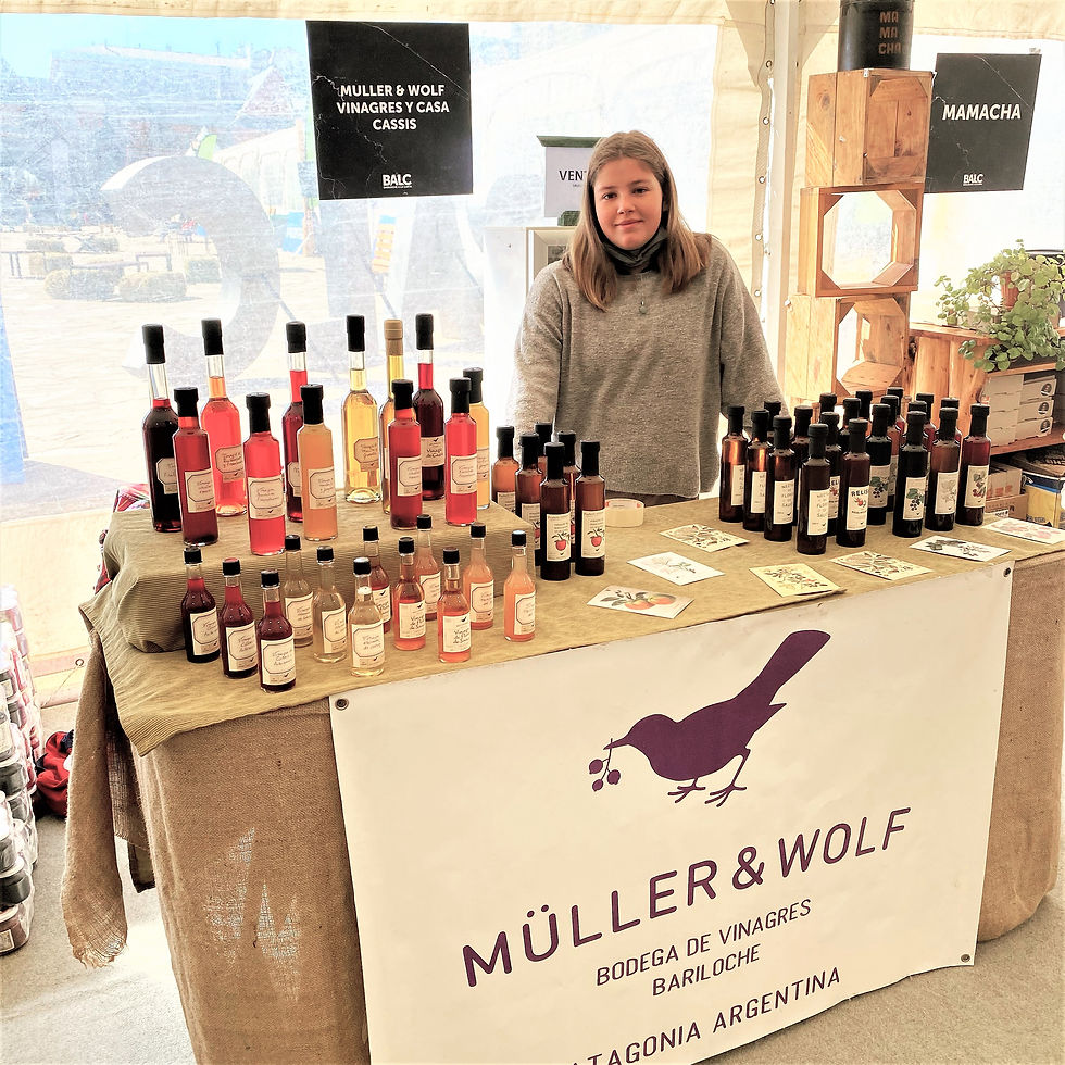 Miniatura: Muller & Wolf - Bodega de Vinagres