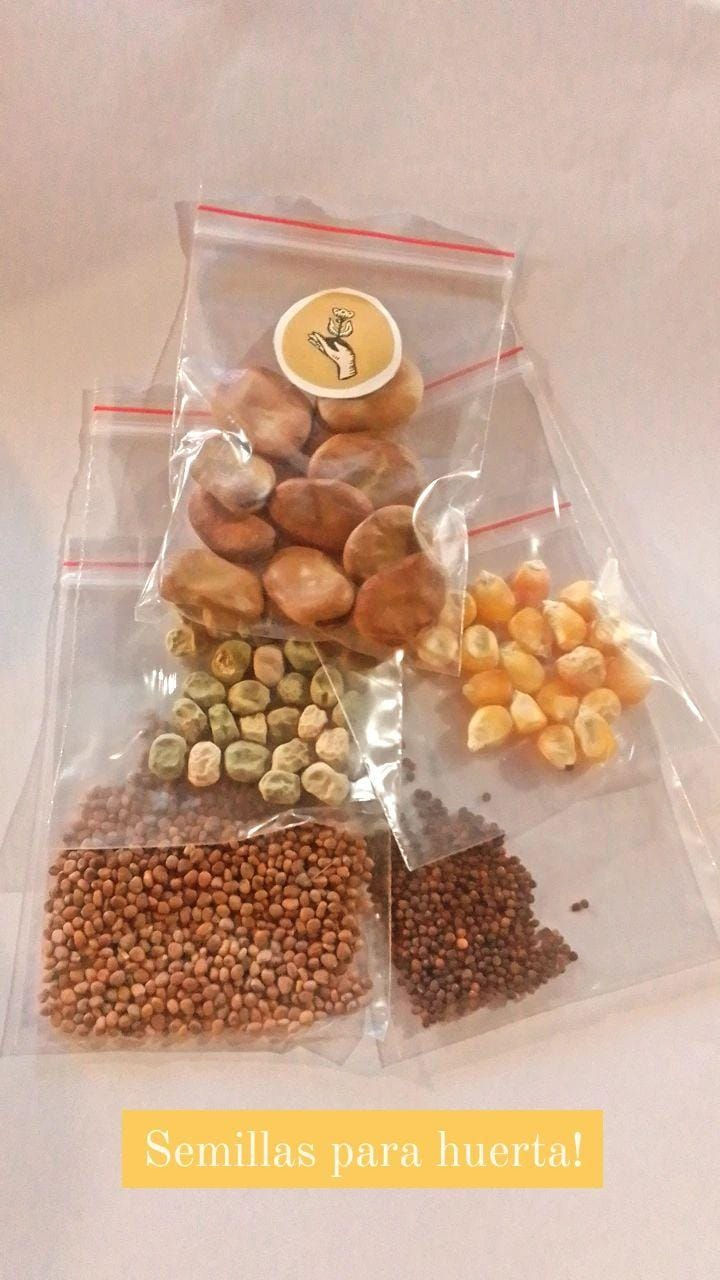 Miniatura: Manos a la Tierra