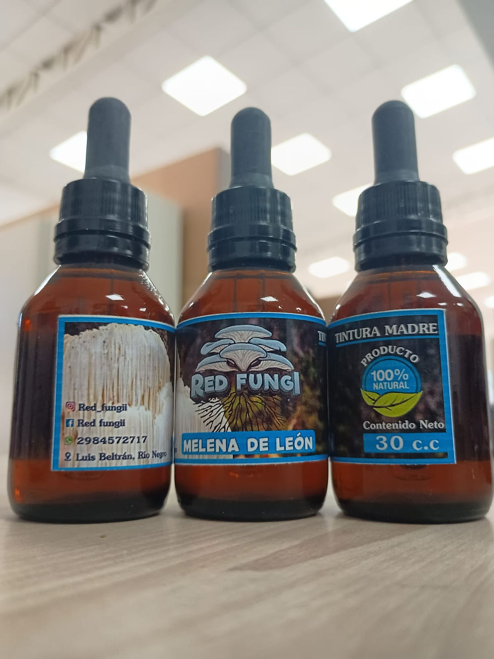 Miniatura: Red Fungi