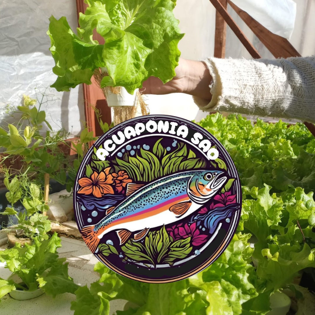 Acuaponia SAO